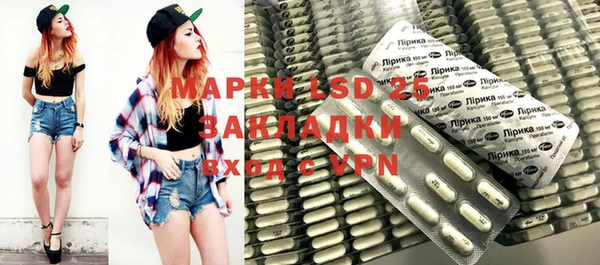 шишки Алзамай