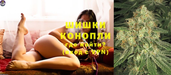 винт Новозыбков
