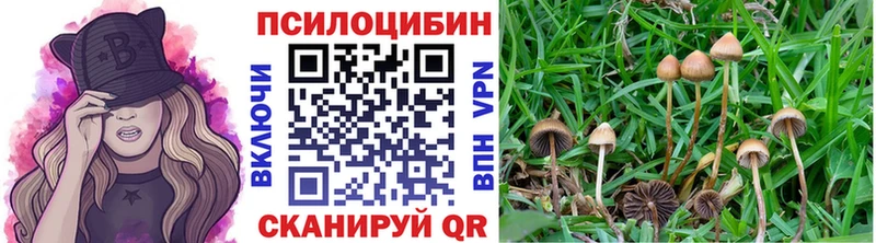MEGA tor  Певек  Галлюциногенные грибы MAGIC MUSHROOMS 